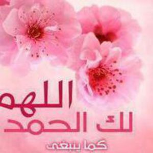 mohamed S.
