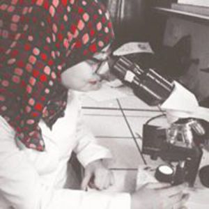 Nermine M.