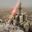 Alhadi A.