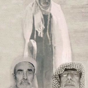 noureddine R.