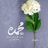 Mouhamed L.
