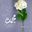 Mouhamed L.