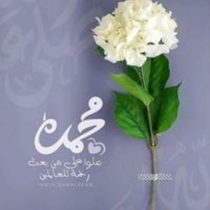 Mouhamed L.