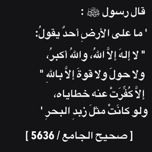 Hassine Z.