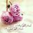 Dhafer B.