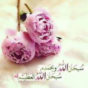 Dhafer B.