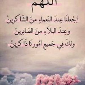 Fatma Y.