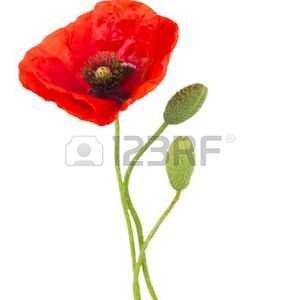 Patrick Séraphin C.