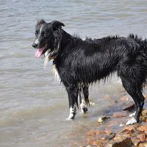 Jean-Yves Patrick L.