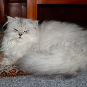 Remboursement Du Jour De Carence Nous Mgen