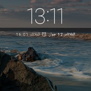 Mohsen L.