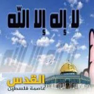 Mohsen S.