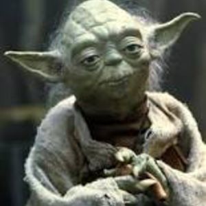 yoda Y.