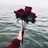 Sondes K.