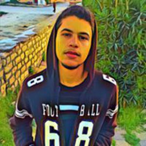 Motaz O.