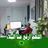 Mohamed A.