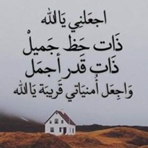 Zahra A.