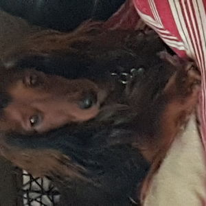Françoise G.