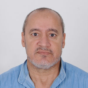 Adel H.