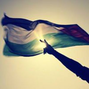 Ahmed H.