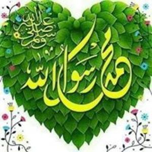Marwa K.