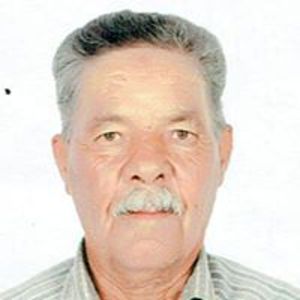 Arbia A.