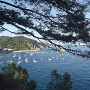 Stéphanie Patrice D.